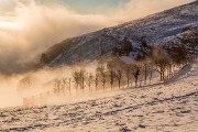 Vacanze Natale 2015-201